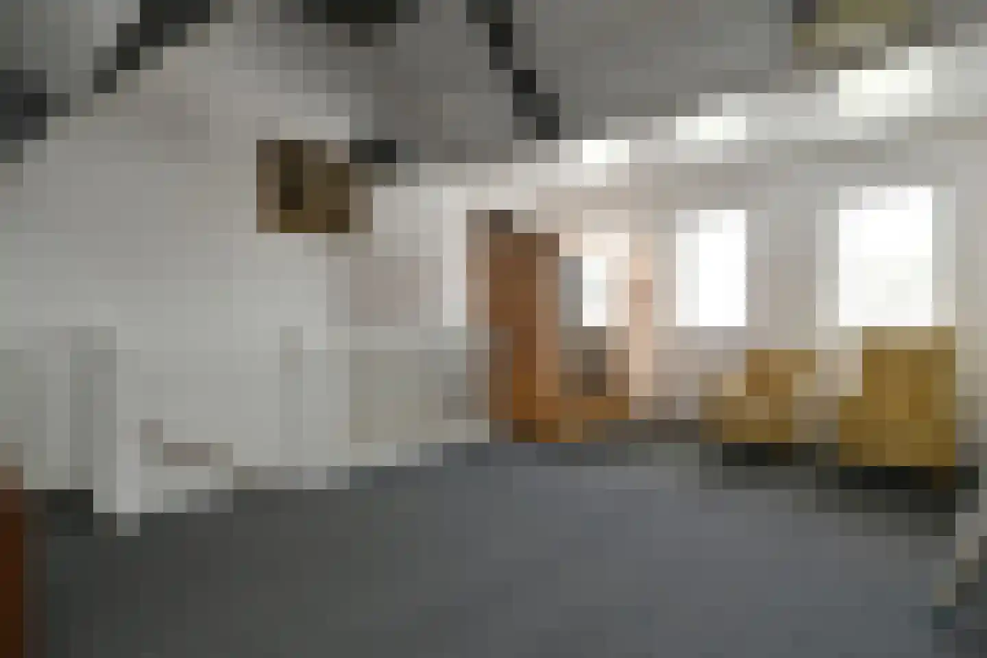 Beltmolenstraat 26 Roggel thumbnail 28