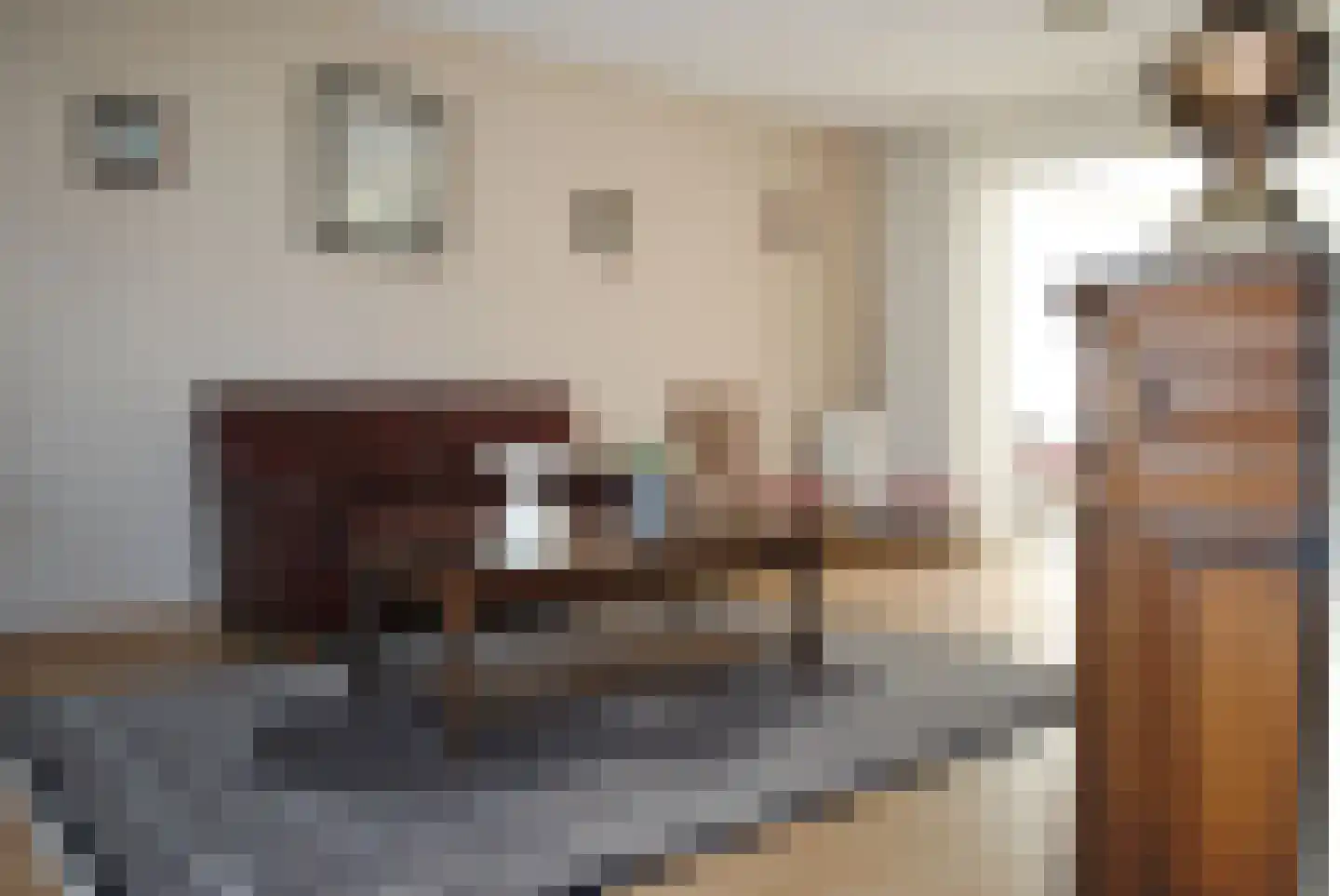 Beltmolenstraat 26 Roggel thumbnail 9