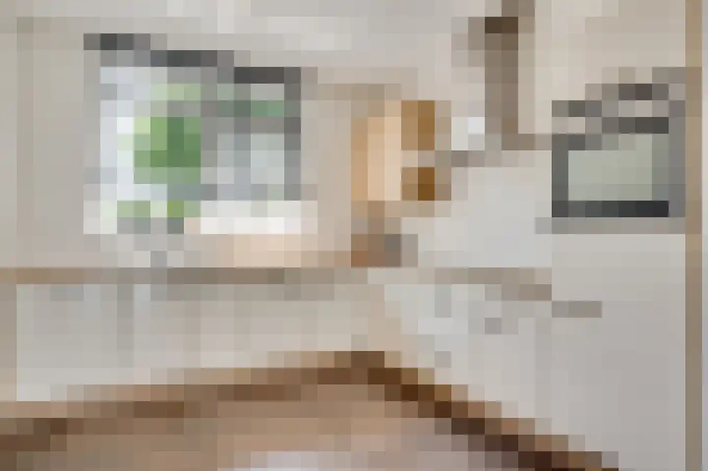 Beltmolenstraat 35 Roggel thumbnail 11