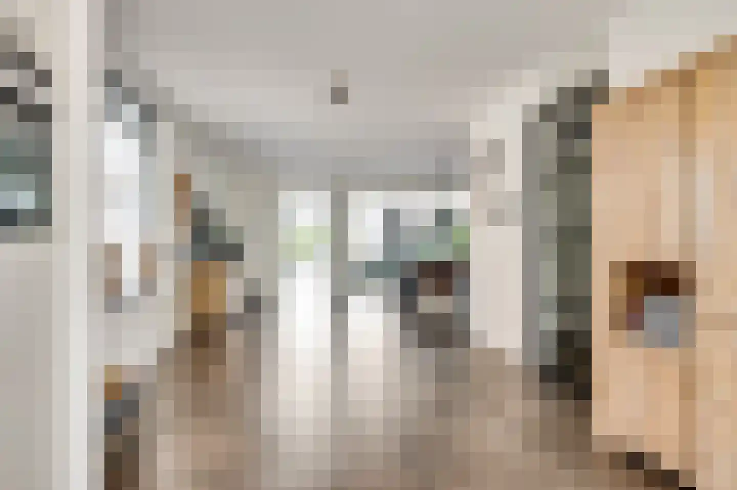 Beltmolenstraat 35 Roggel thumbnail 12