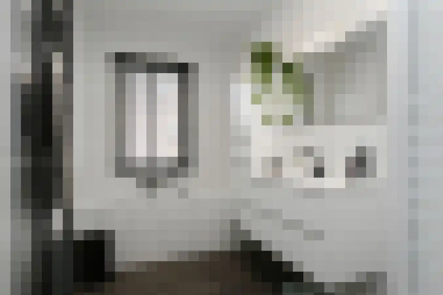 Beltmolenstraat 35 Roggel thumbnail 20
