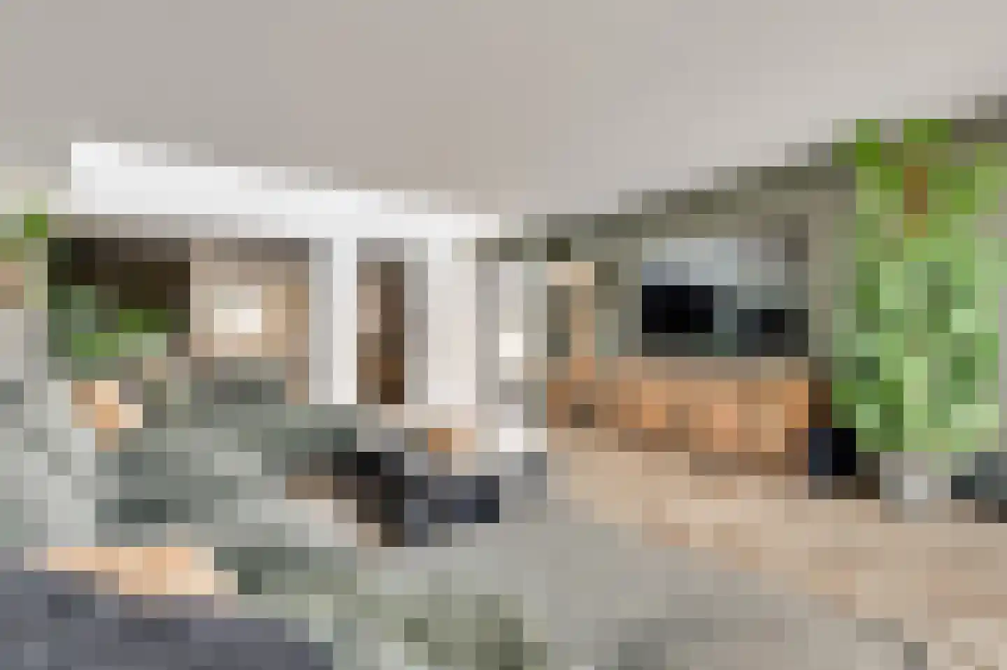 Beltmolenstraat 35 Roggel thumbnail 21