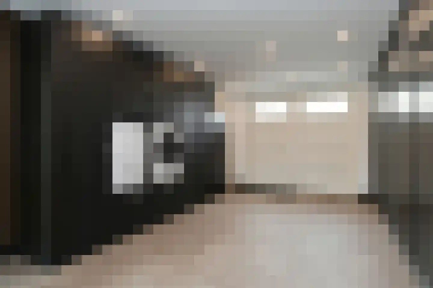 Beltmolenstraat 35 Roggel thumbnail 22