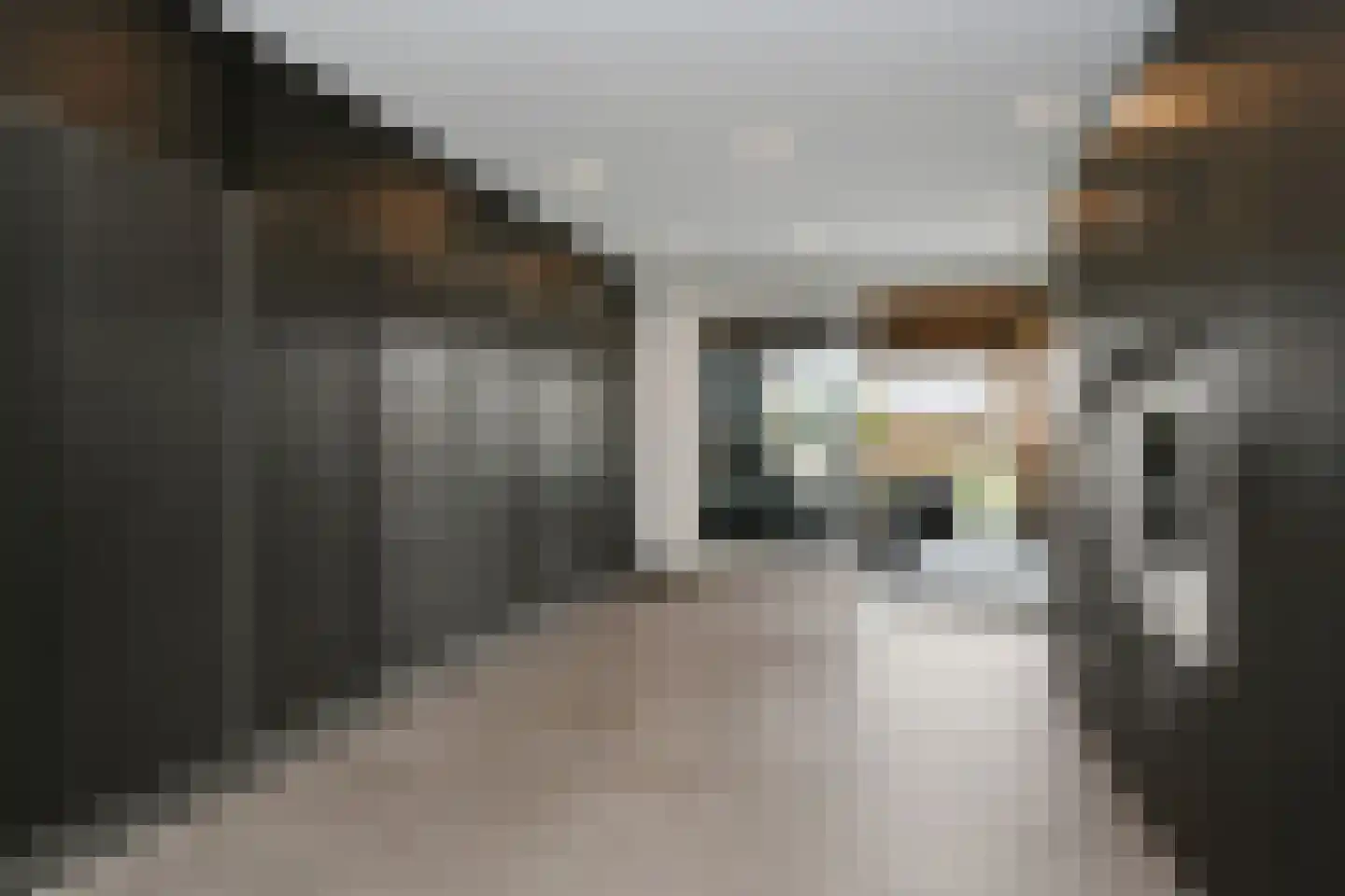 Beltmolenstraat 35 Roggel thumbnail 23