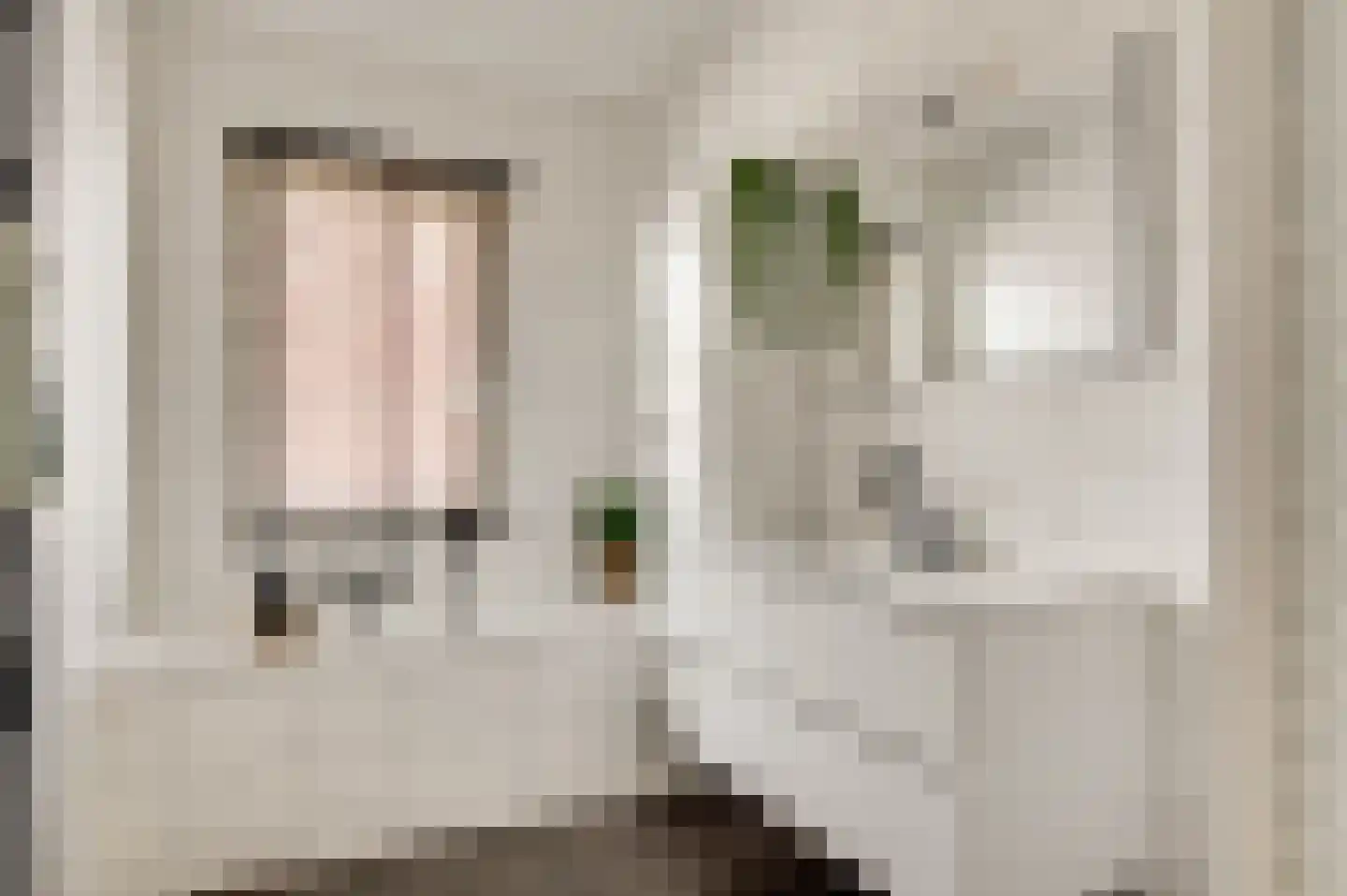 Beltmolenstraat 35 Roggel thumbnail 31