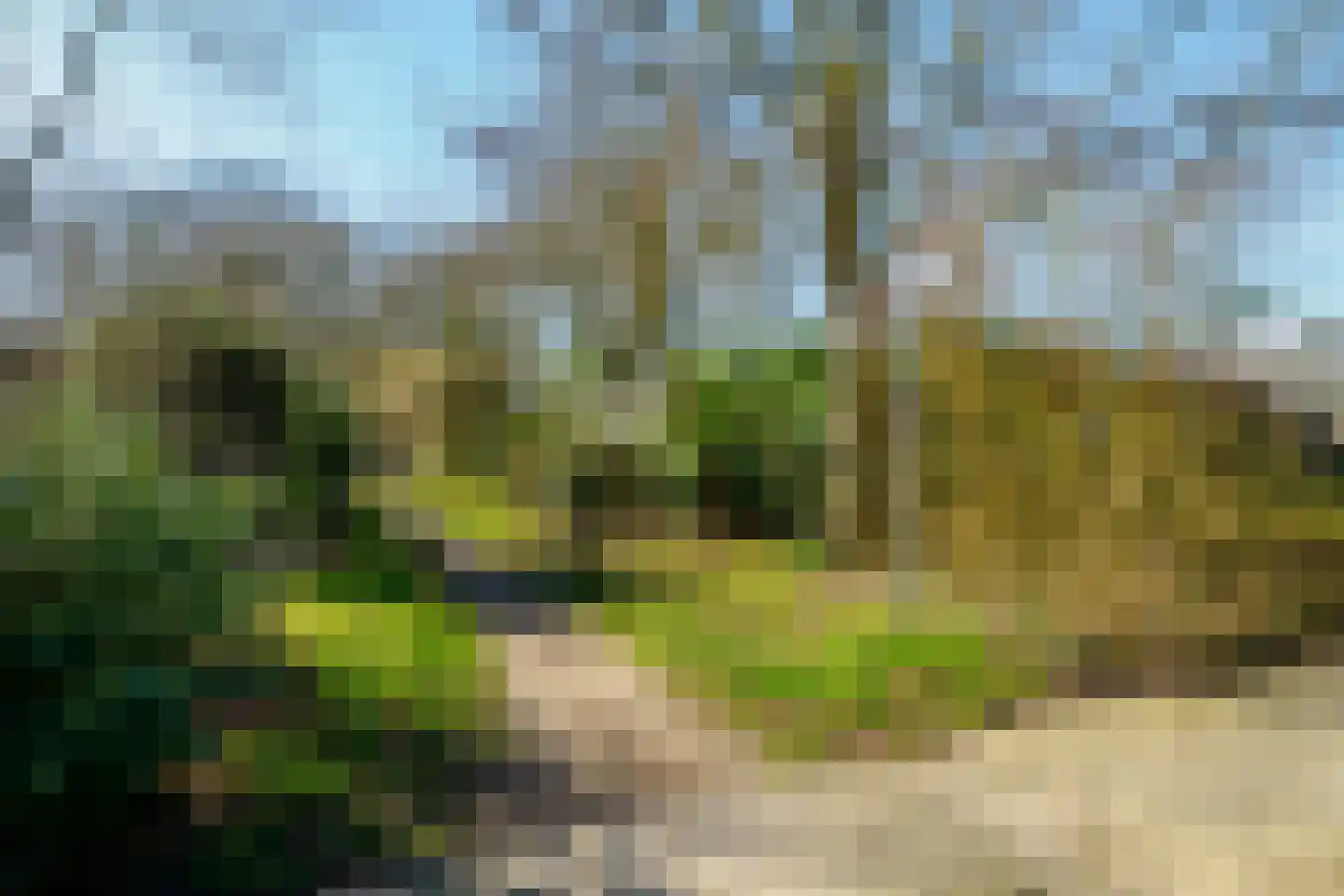 Beltrumbrink 130 Enschede thumbnail 62