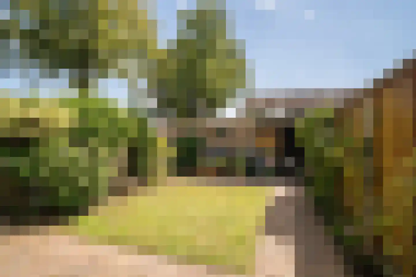 Beltrumbrink 38 Enschede thumbnail 17