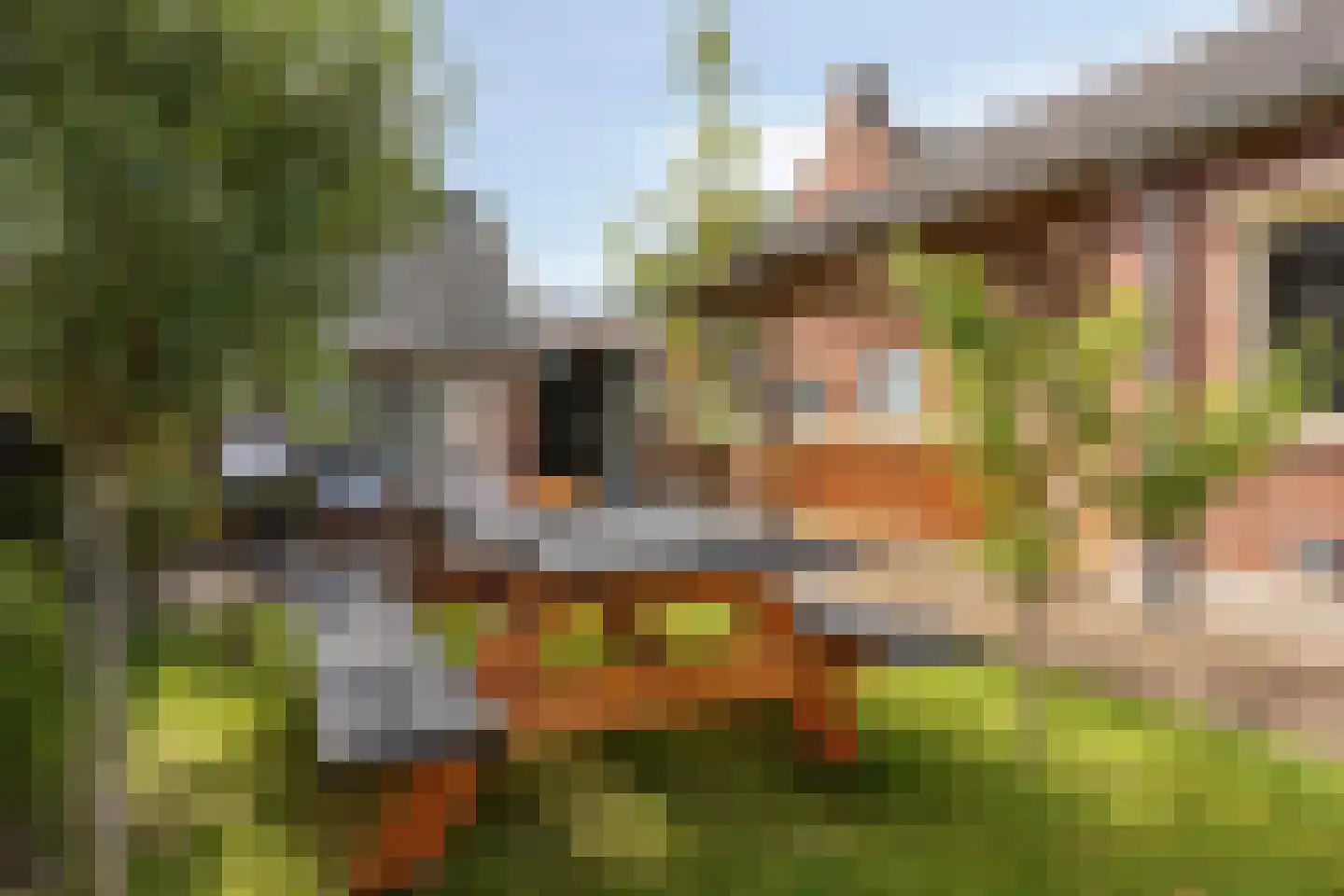 Beltrumseweg 16 Eibergen thumbnail 37