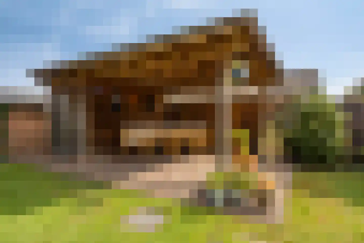 Beltrumseweg 16 Eibergen thumbnail 41