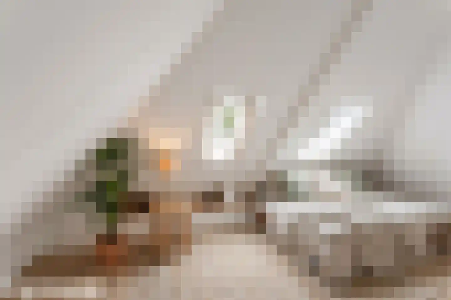 Beltrumseweg 42 Eibergen thumbnail 43