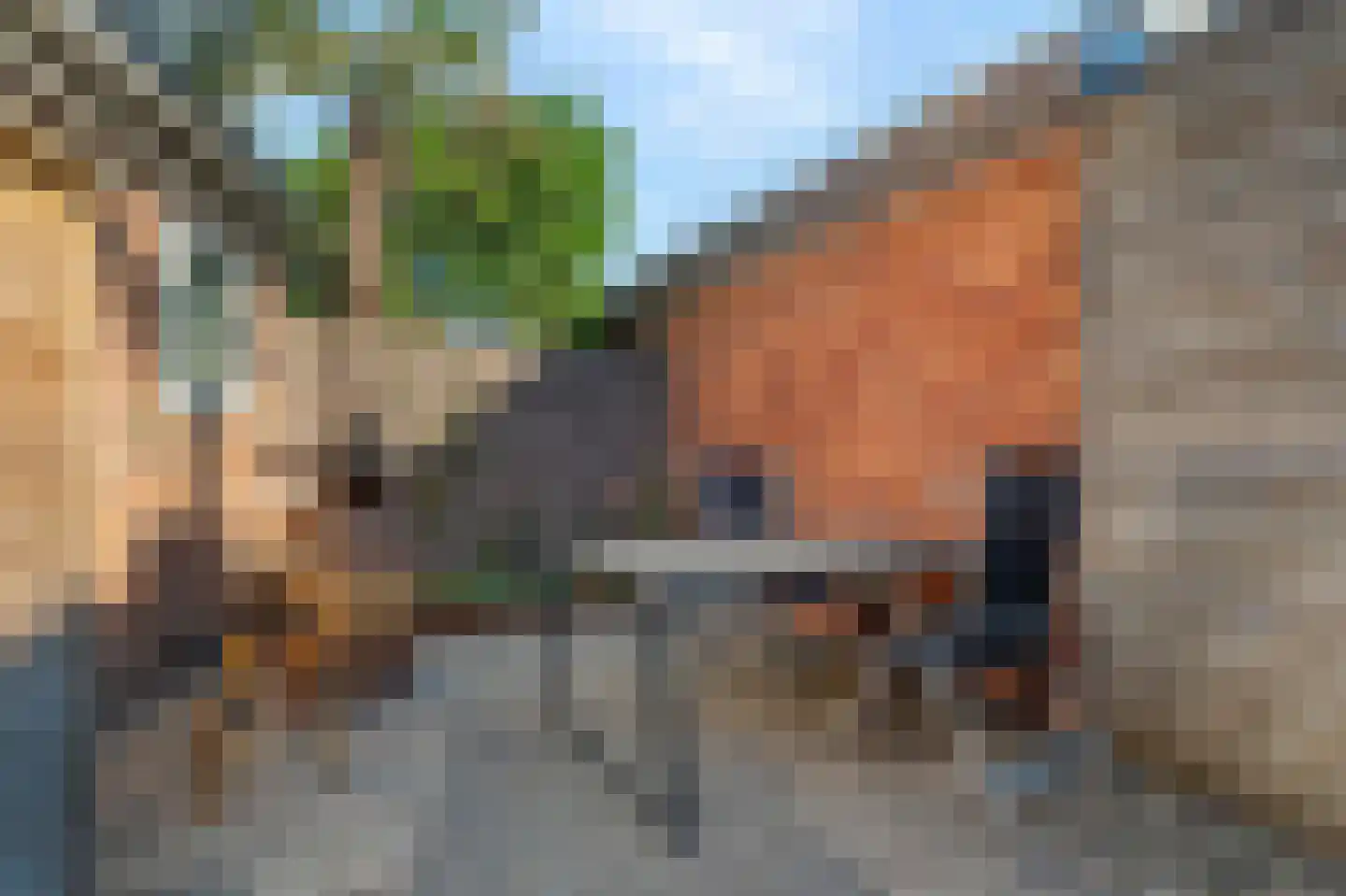 Beltstraat 52 Hippolytushoef thumbnail 24