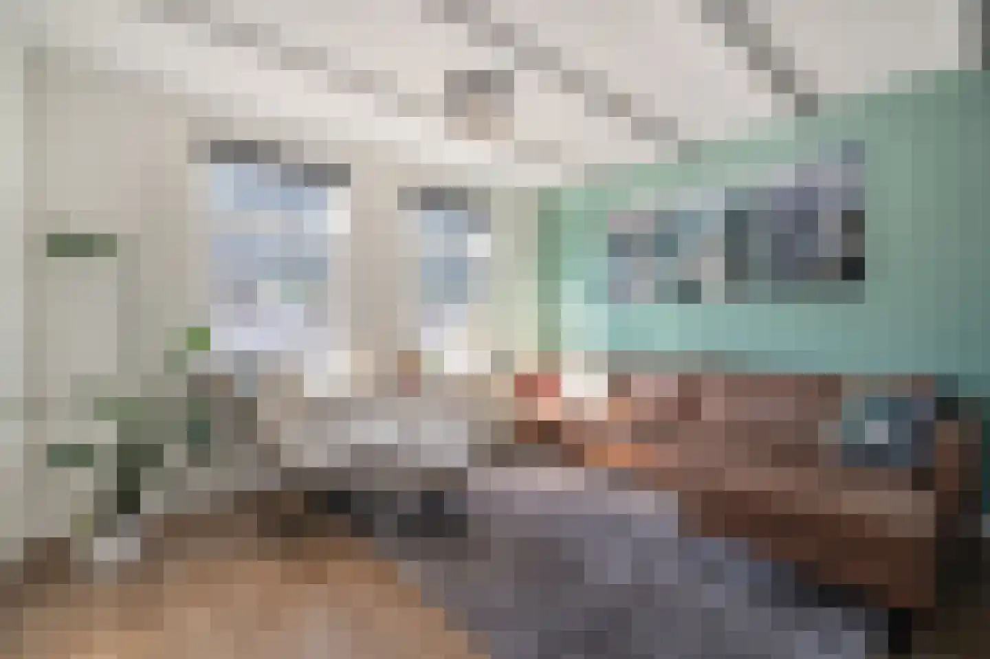 Beltstraat 52 Hippolytushoef thumbnail 8
