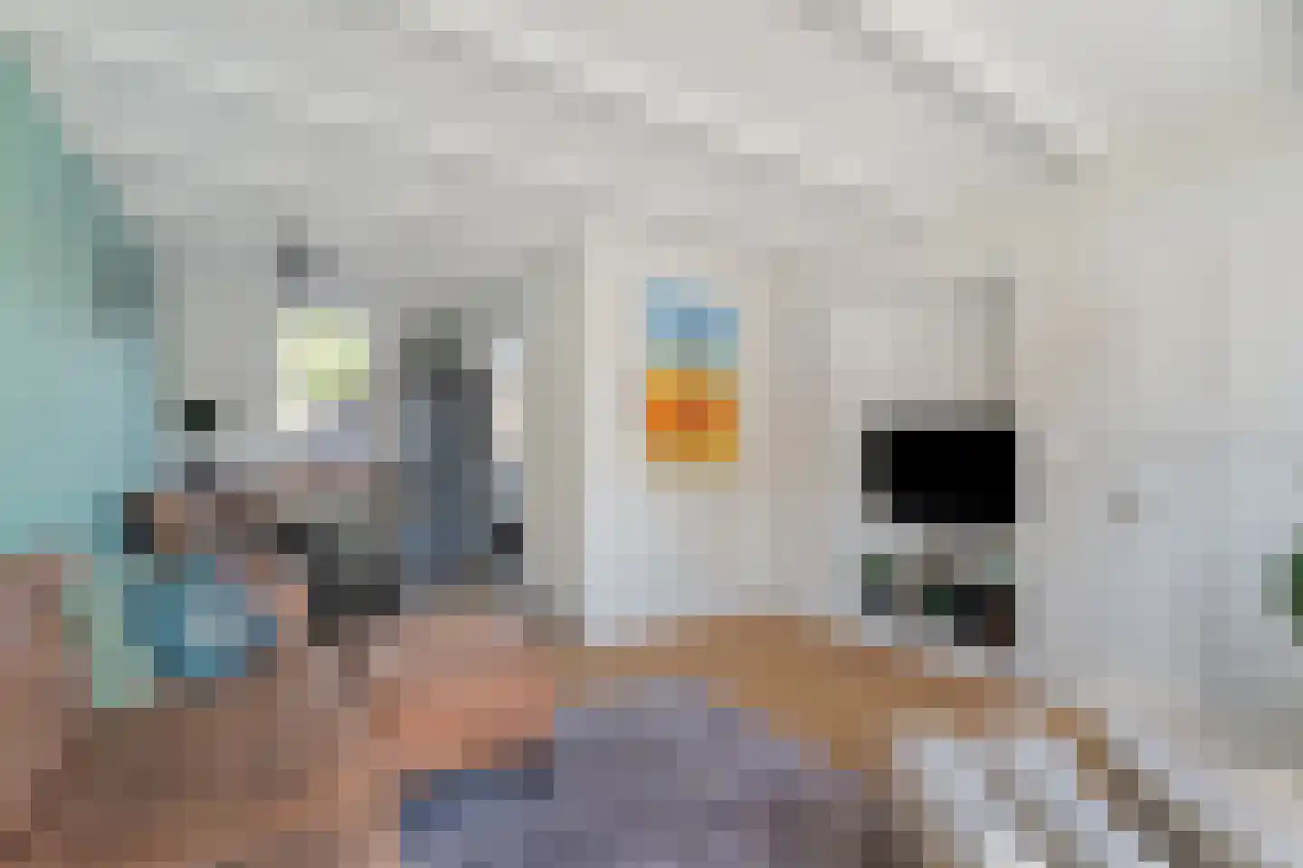 Beltstraat 52 Hippolytushoef thumbnail 9
