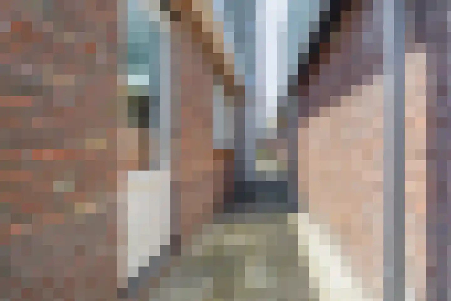 Beltstraat 56 Hippolytushoef thumbnail 16