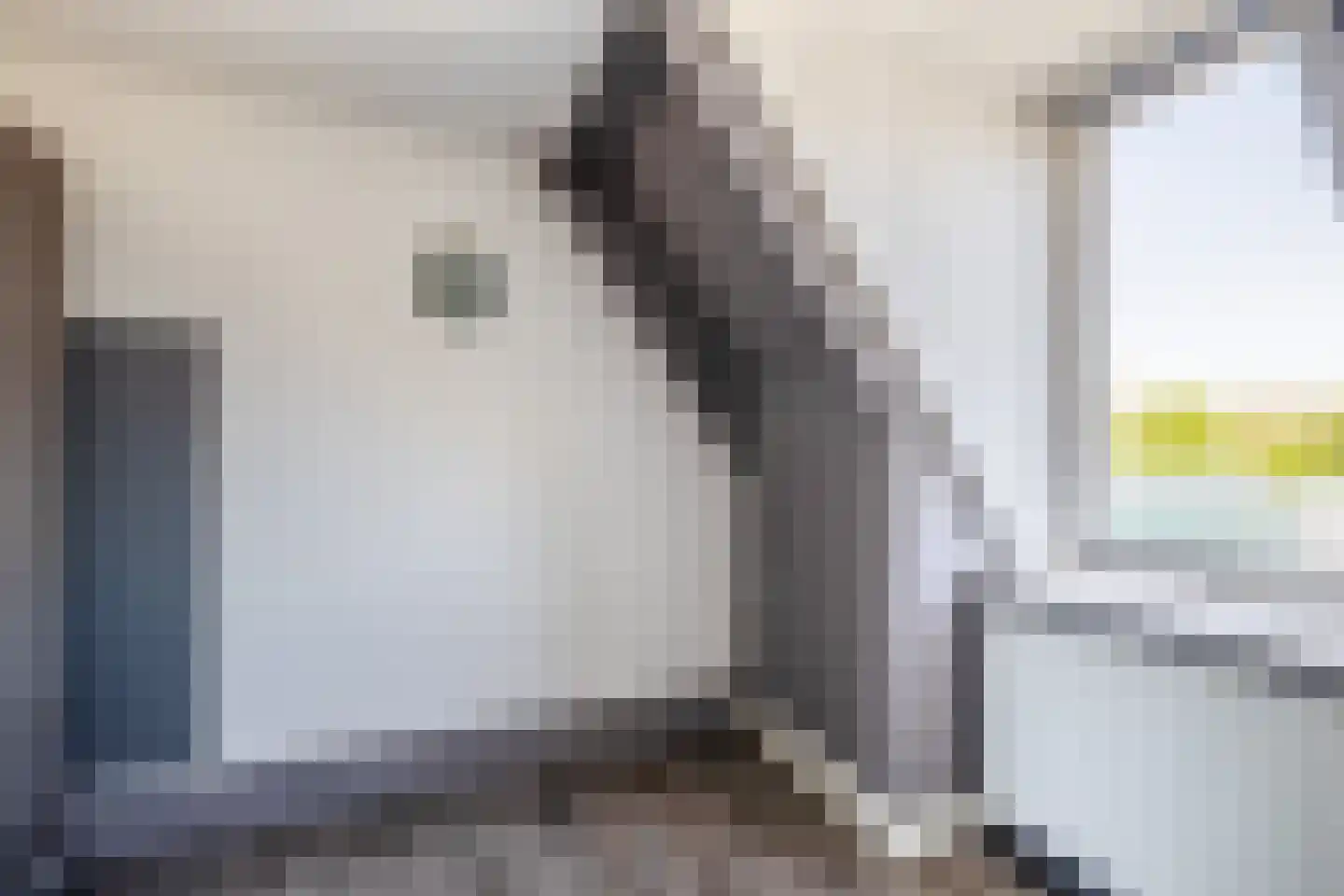 Beltstraat 56 Hippolytushoef thumbnail 27
