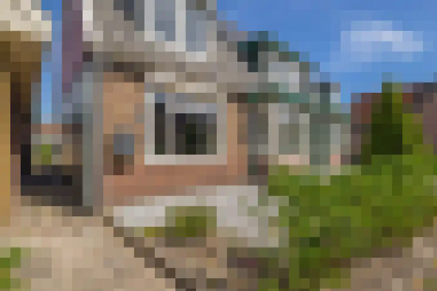 Beltstraat 56 Hippolytushoef thumbnail 4