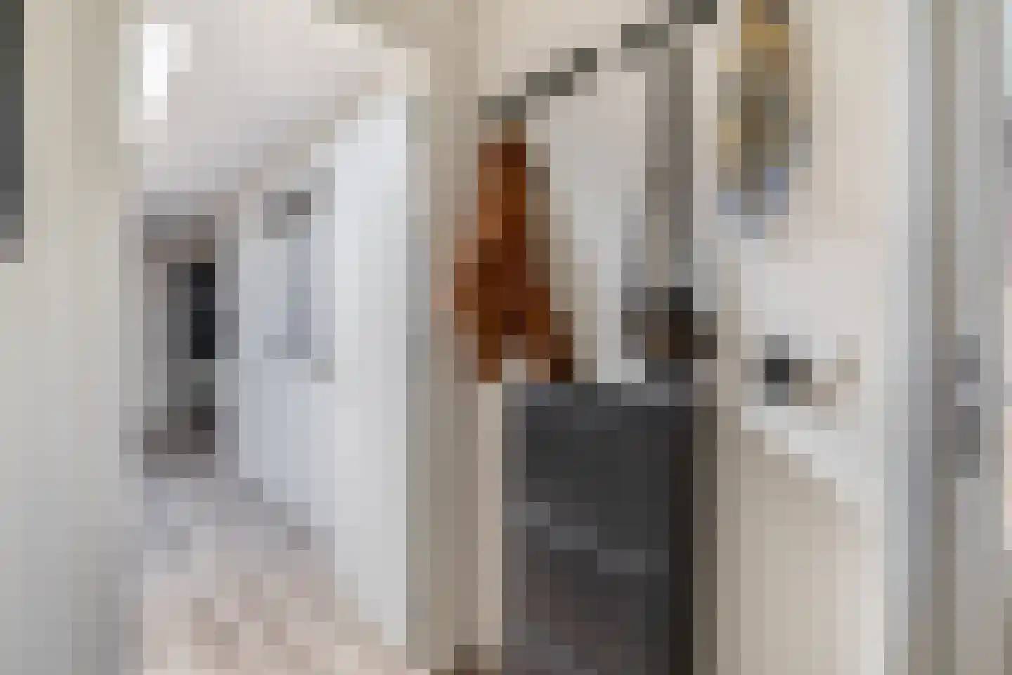 Beltstraat 56 Hippolytushoef thumbnail 6