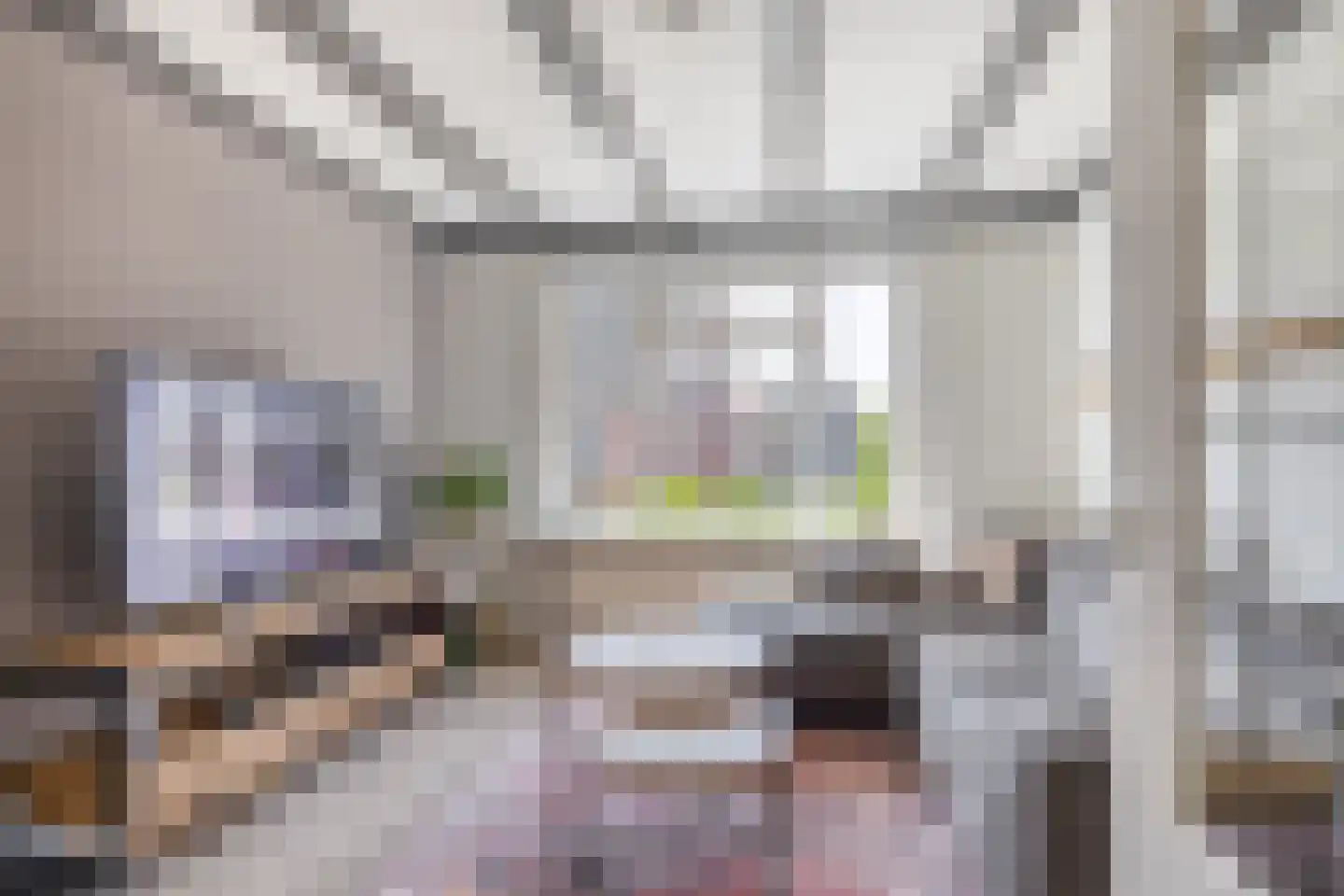 Beltstraat 56 Hippolytushoef thumbnail 8