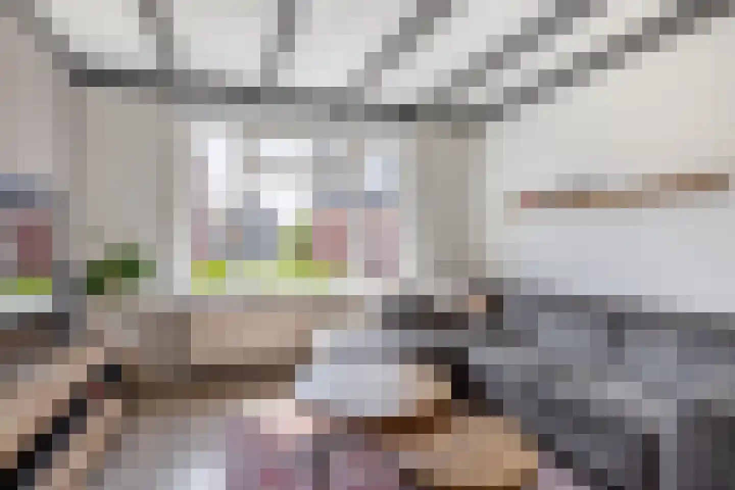 Beltstraat 56 Hippolytushoef thumbnail 9