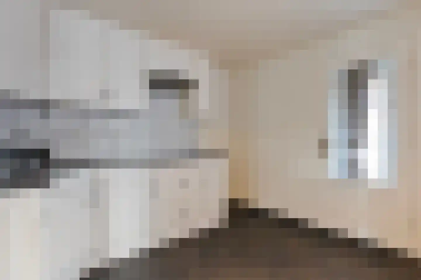Beltstraat 8 Weerselo thumbnail 11