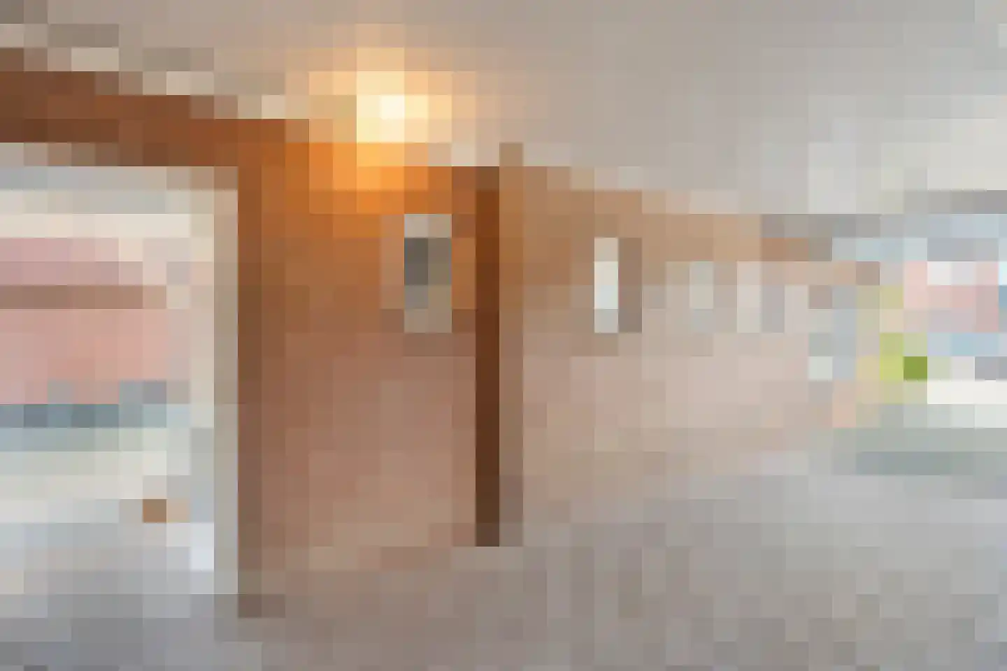 Beltstraat 8 Weerselo thumbnail 25