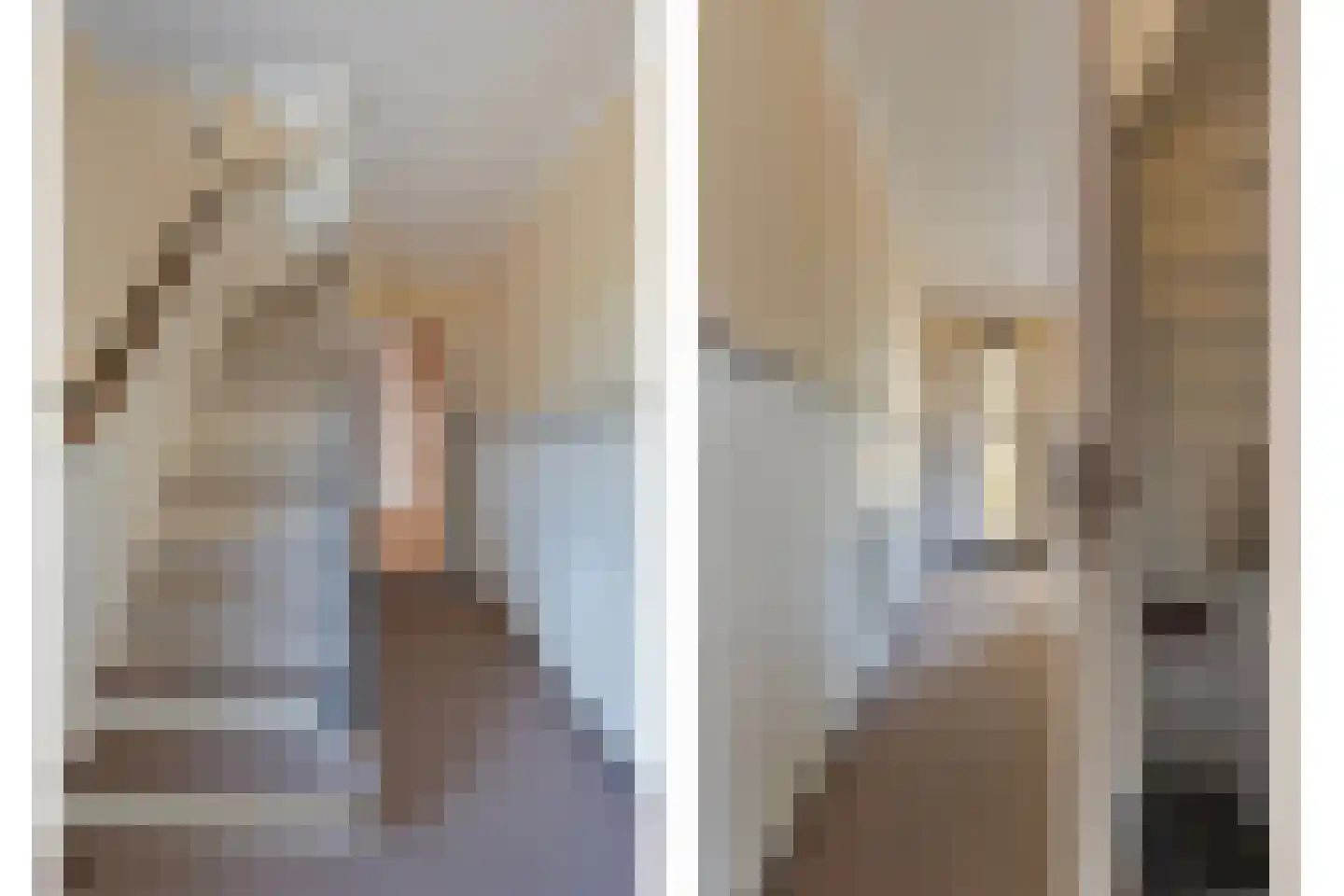 Beltstraat 8 Weerselo thumbnail 5