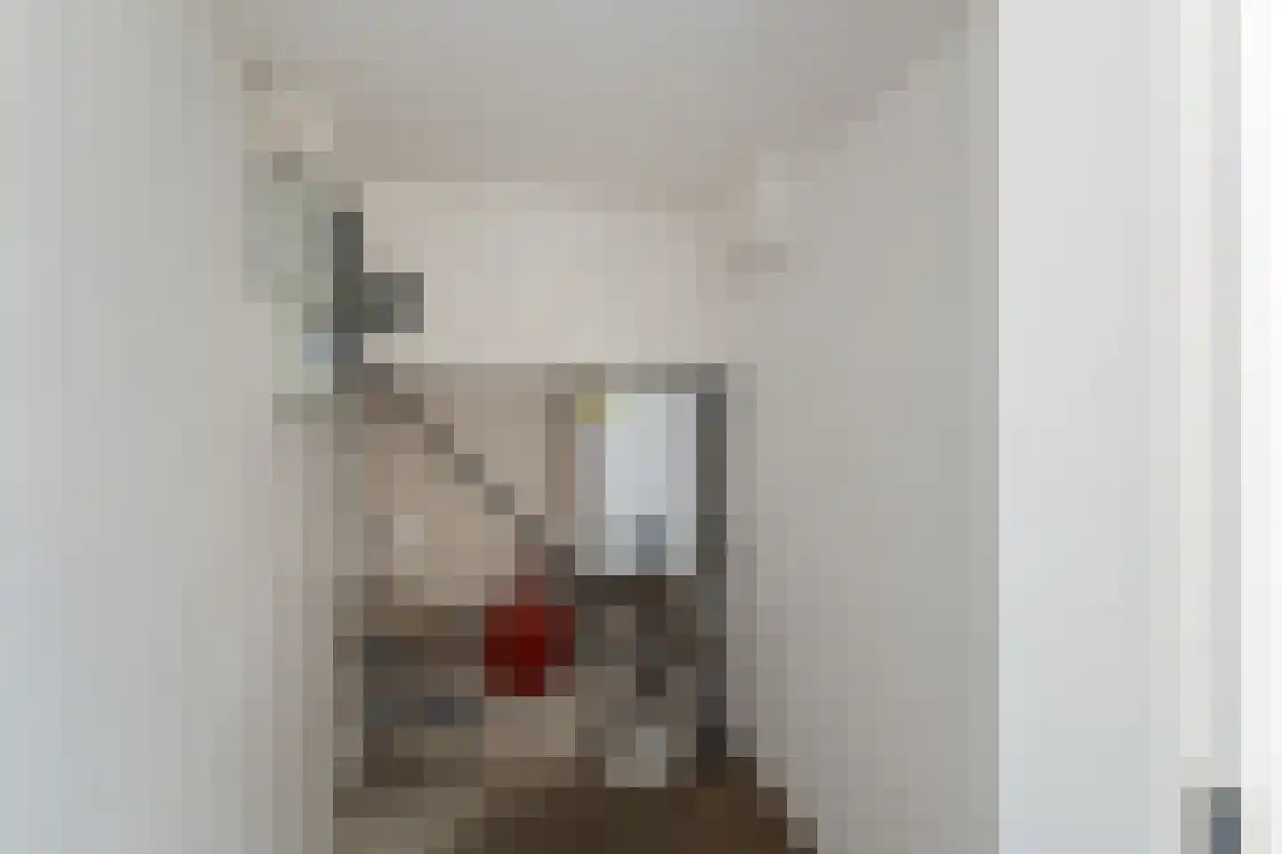 Beltweg 2 A Kampen thumbnail 25