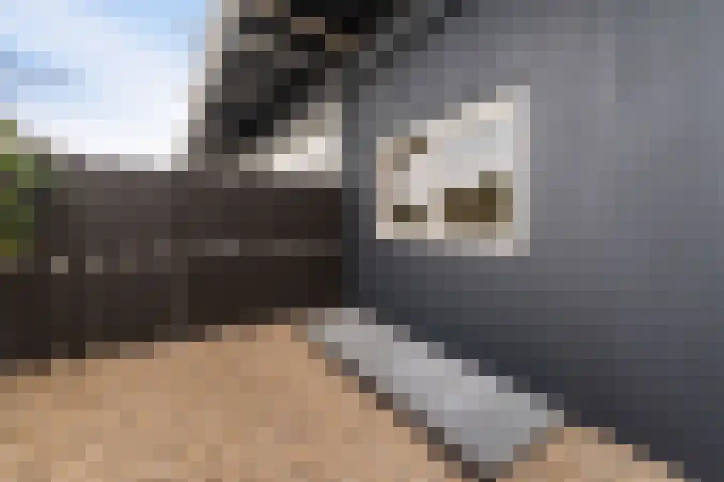 Beltweg 2 Kampen thumbnail 31