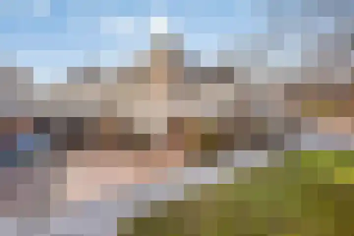 Beltweg 38 Kampen thumbnail 11