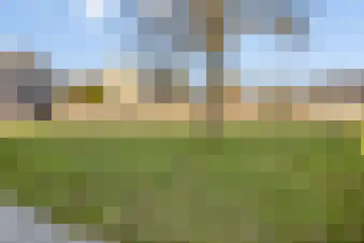 Beltweg 38 Kampen thumbnail 46
