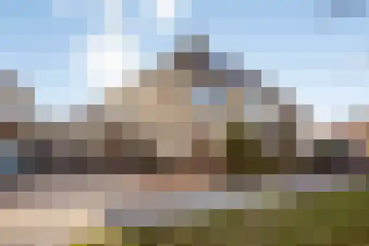 Beltweg 38 Kampen thumbnail 8