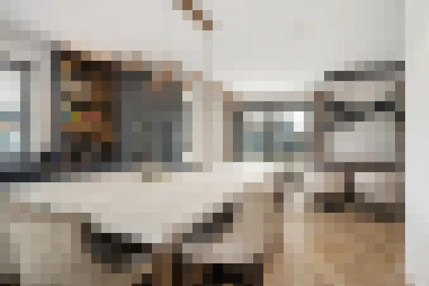 Belvedere 10 Zevenhuizen (ZH) thumbnail 15