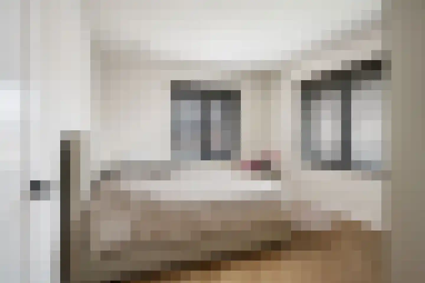 Belvedere 10 Zevenhuizen (ZH) thumbnail 27