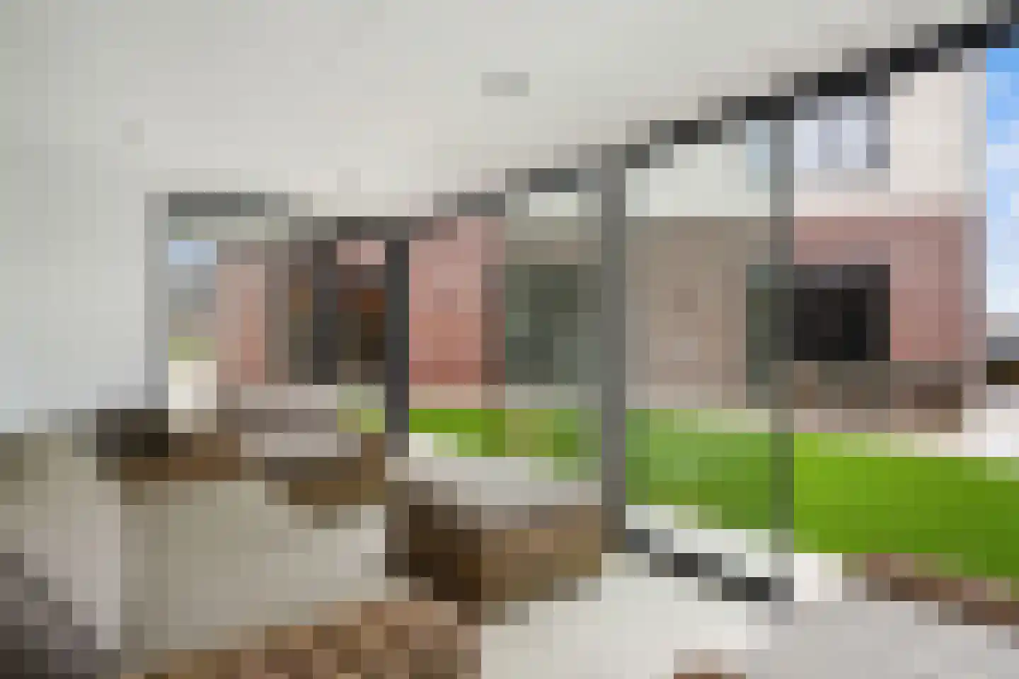 Belvedere 10 Zevenhuizen (ZH) thumbnail 50