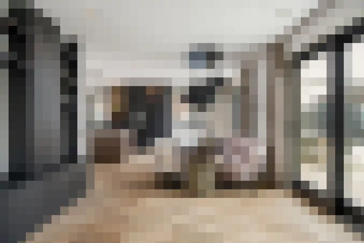 Belvedere 10 Zevenhuizen (ZH) thumbnail 9