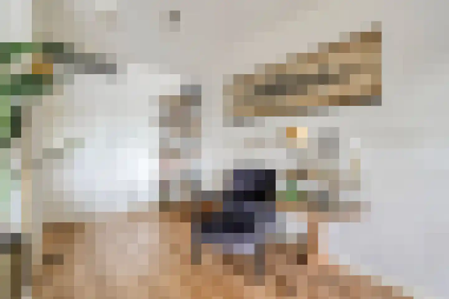 Belvédère 13 Almelo thumbnail 15