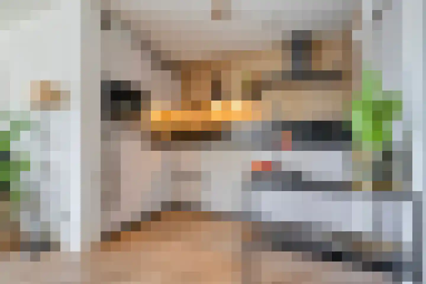 Belvédère 13 Almelo thumbnail 20