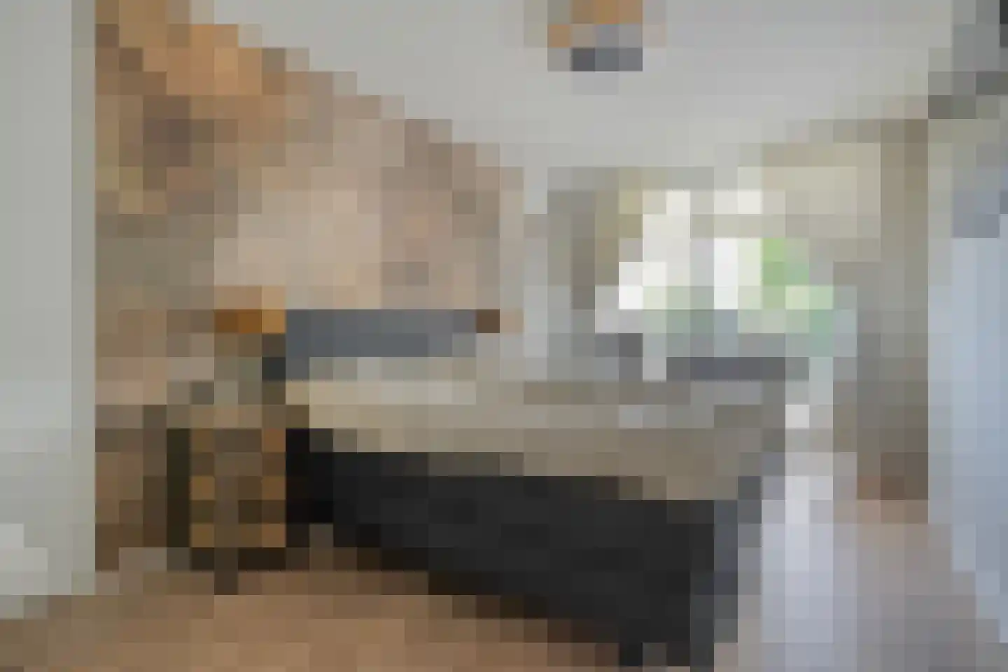 Belvédère 13 Almelo thumbnail 21