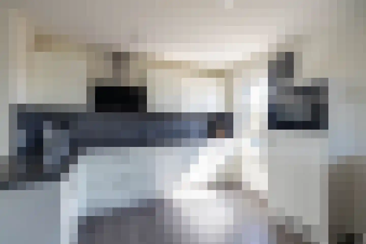 Belvédère 17 Almelo thumbnail 9