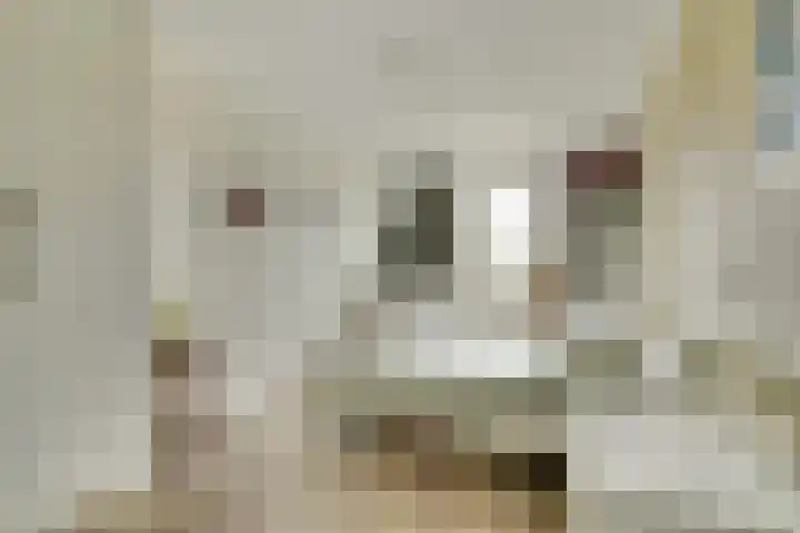 Belvédère 19 Almelo thumbnail 10