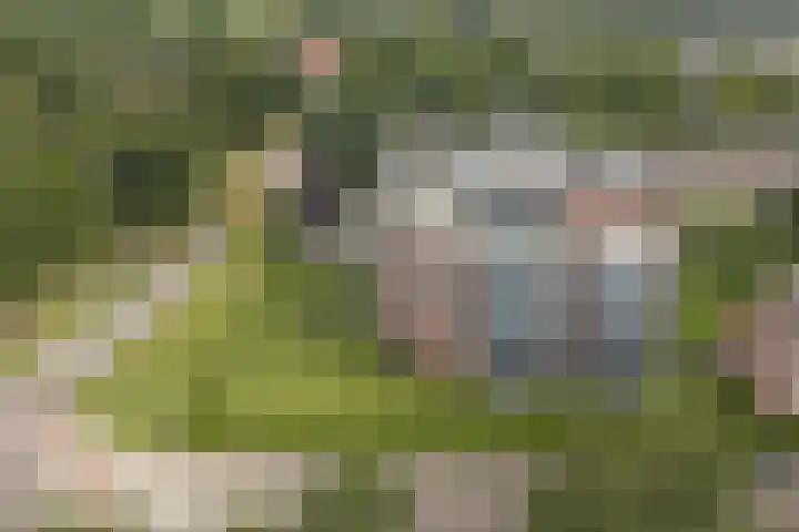 Belvédère 19 Almelo thumbnail 22