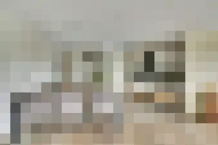 Belvédère 19 Almelo thumbnail 7