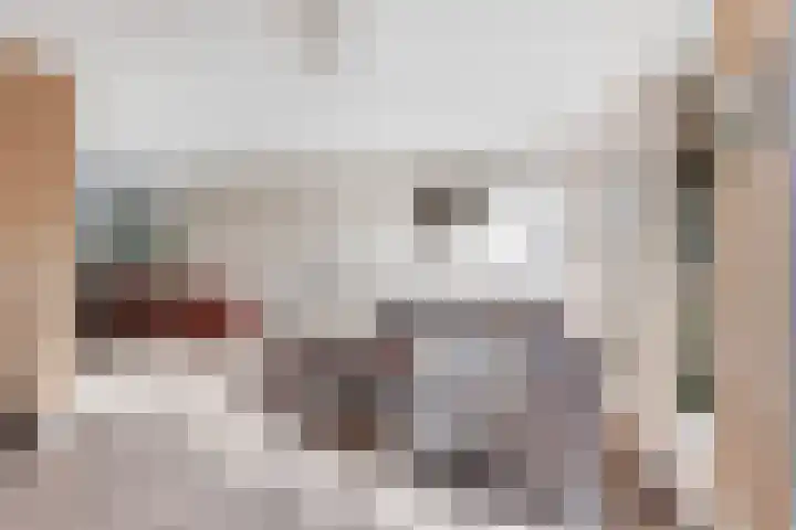 Belvedère 6 Hoofddorp thumbnail 10