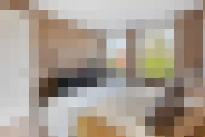 Belvedère 6 Hoofddorp thumbnail 26