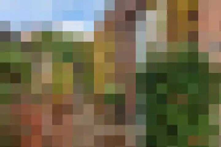 Belvedère 6 Hoofddorp thumbnail 37
