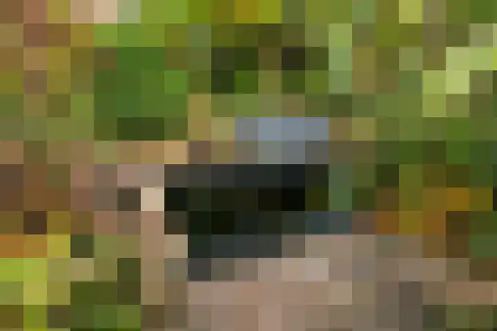 Belvedère 6 Hoofddorp thumbnail 41