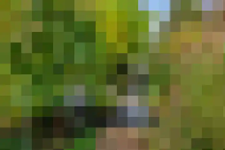 Belvedère 6 Hoofddorp thumbnail 42