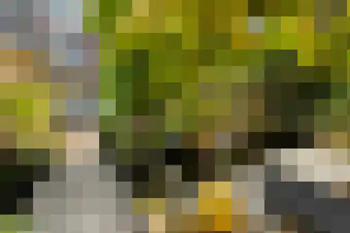 Belvedère 6 Hoofddorp thumbnail 43