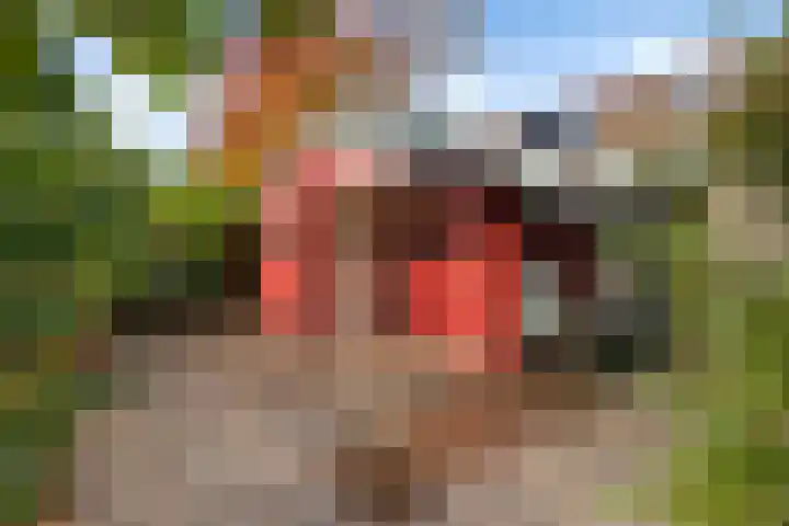 Belvedère 6 Hoofddorp thumbnail 45