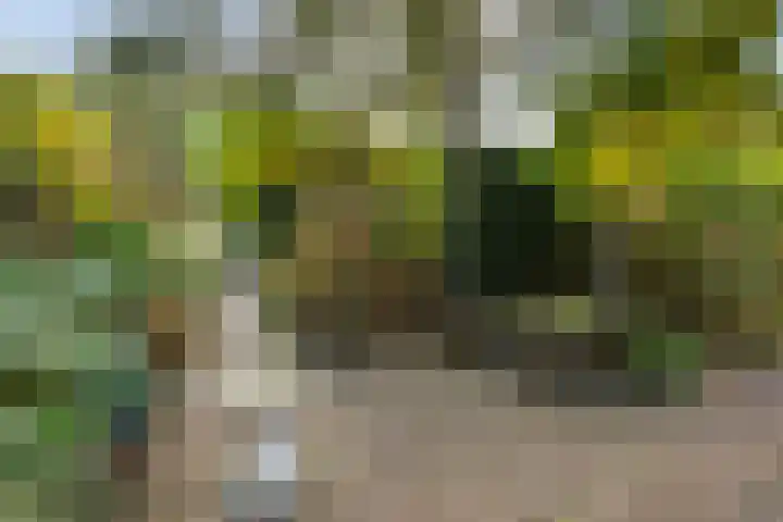 Belvedère 6 Hoofddorp thumbnail 46
